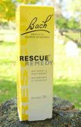 Bach Bloesem Speciaal Voor Huisdieren!